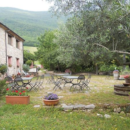 Вілла Il Giardino Degli Ulivi Castelraimondo Екстер'єр фото