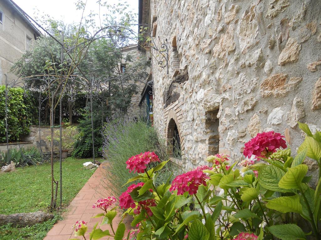 Вілла Il Giardino Degli Ulivi Castelraimondo Екстер'єр фото