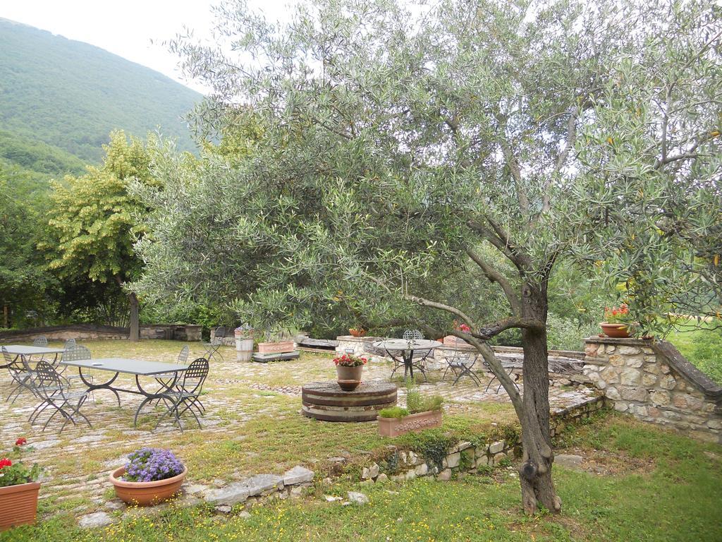 Вілла Il Giardino Degli Ulivi Castelraimondo Екстер'єр фото